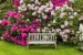 posezeni-pod-rododendrony_382181731-jpg_irecept-full